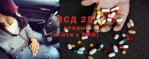 сатива Магас