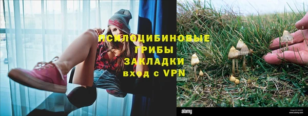 дживик Лихославль