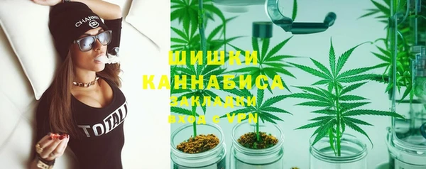 сатива Магас