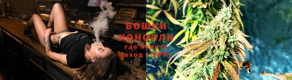 сатива Магас